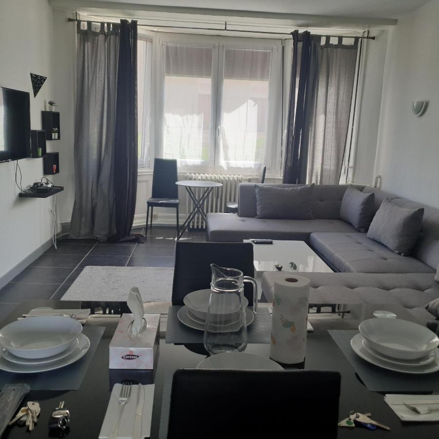 Appartement T2 Courte Duree Coup De Coeur Toute A 5 Minutes Saint-Etienne  Kültér fotó